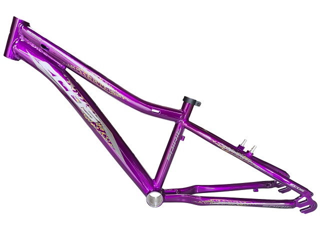 QUADRO 24 AL SPIRIT INT FEM - VIOL