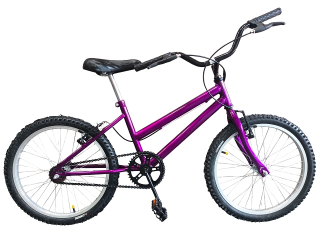 KIT BIC 20 MTB FEM - VIOLETA