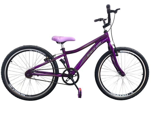 KIT BIC 24 AL SPIRIT FEM - VIOLETA