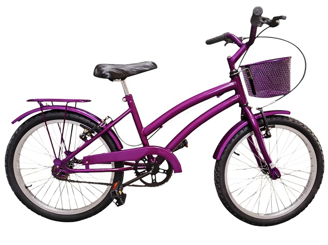 KIT BIC 20 DOLPHIN - VIOLETA