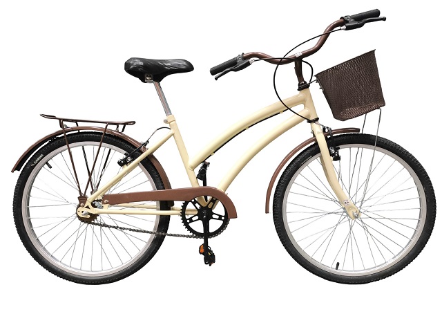 KIT BIC 24 DOLPHIN- BEGEacMARROM