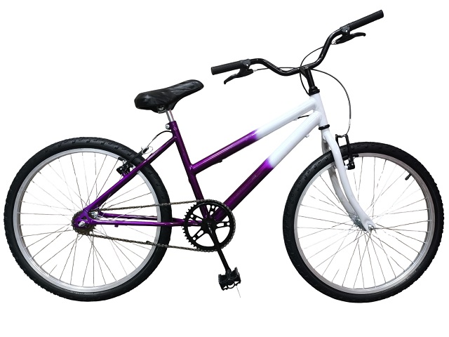 KIT BIC 24 MTB FEM - VIOLETA/BRANCO