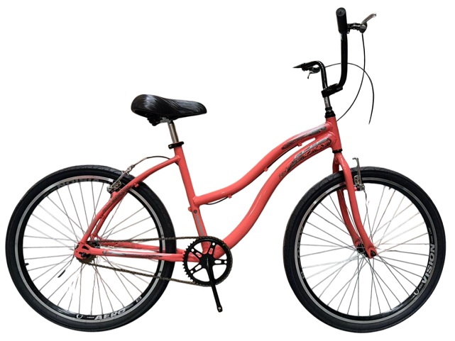 KIT BIC 26 AL BEACH FEM - SALMÃO