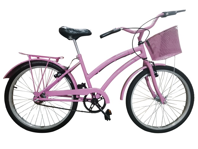 KIT BIC 24 DOLPHIN- ROSA