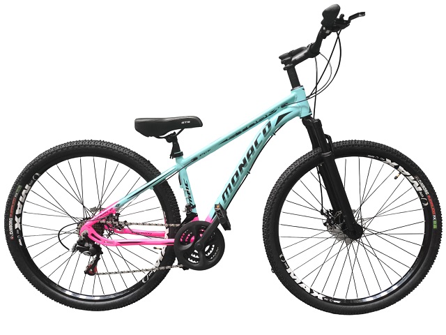 KIT BIC 29  AL MTB STORM(15) - TIFF/RS.CHIC