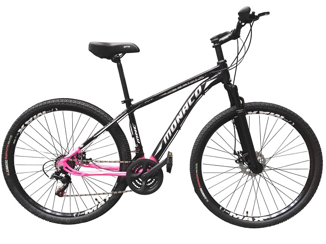 KIT BIC 29  AL MTB STORM(17) - PTO/RS.CHIC