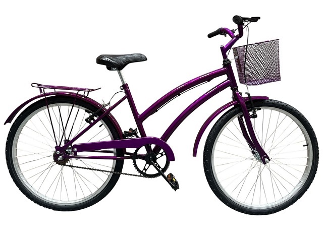 KIT BIC 24 DOLPHIN - VIOLETA