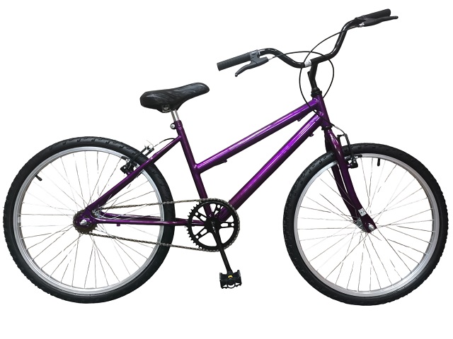 KIT BIC 24 MTB FEM - VIOLETA