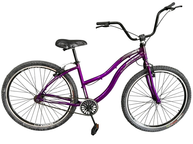 KIT BIC 29  AL BEACH FEM - VIOLETA